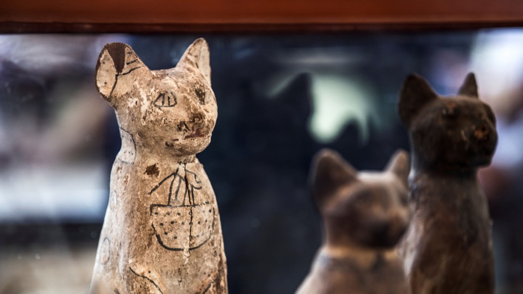 The Curious and Bizarre Mysteries of Animal&nbsp;Mummification