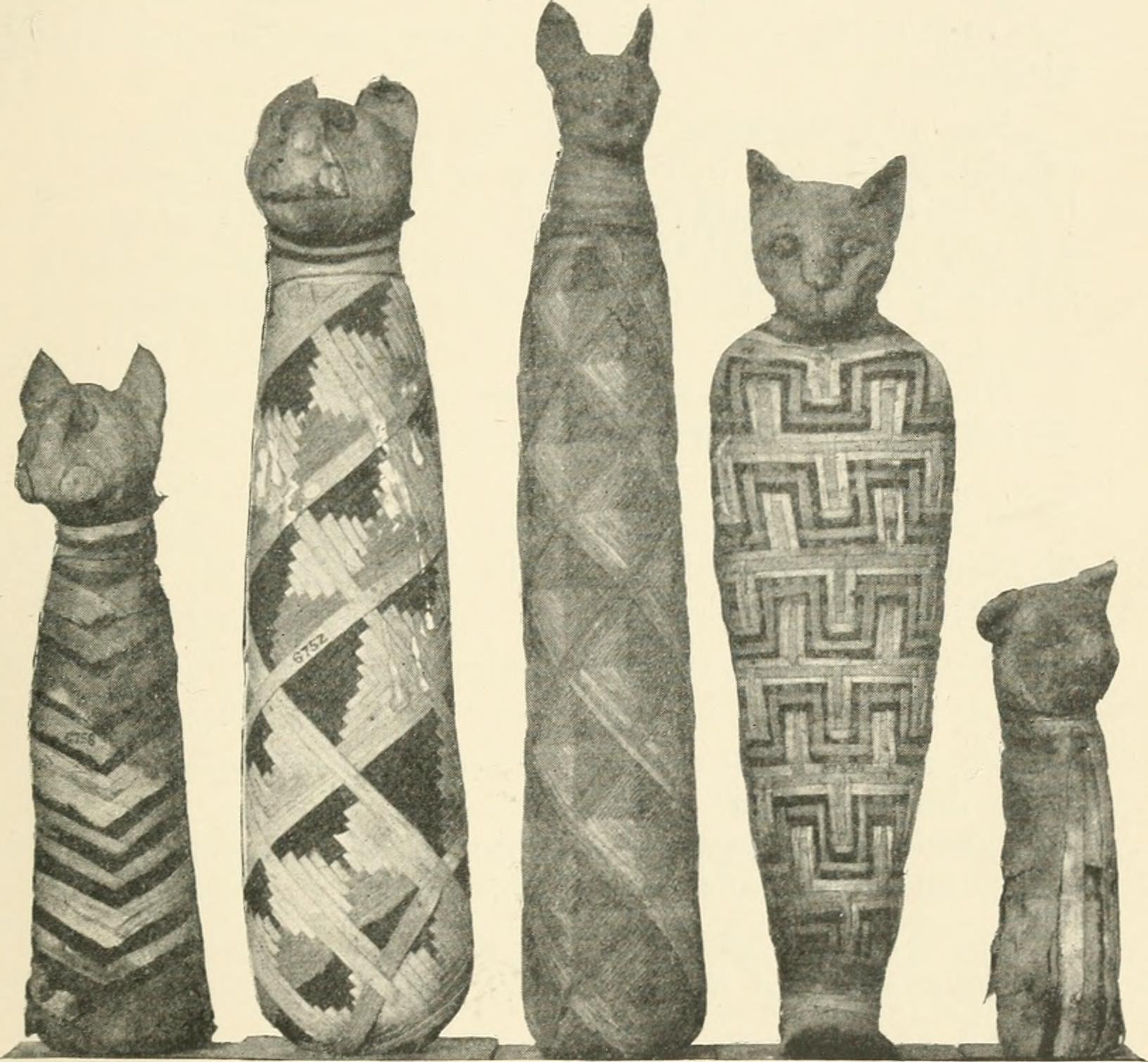 The Curious and Bizarre Mysteries of Animal Mummification – Mysterious ...