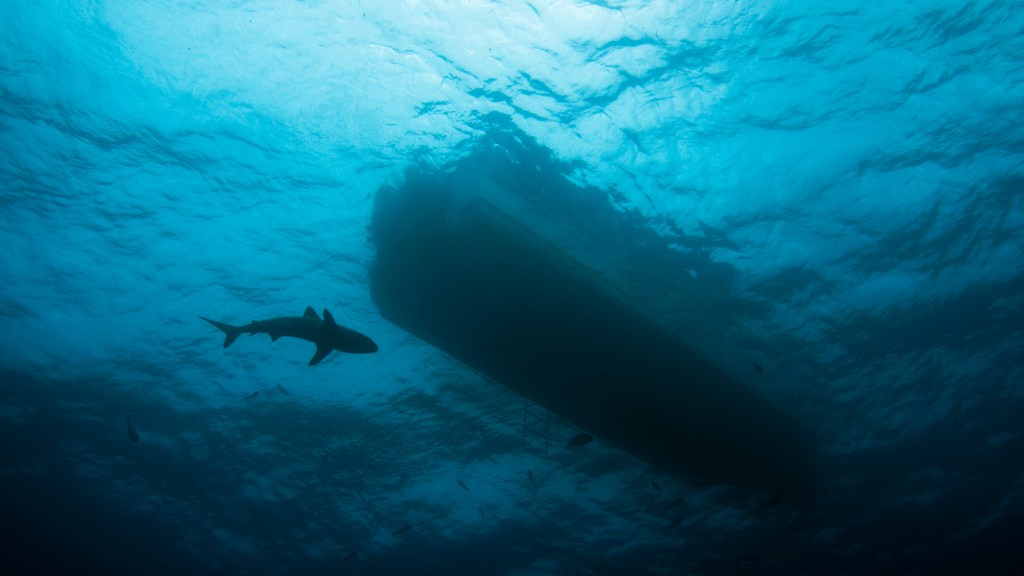 Calls From the Deep: Exploring Mysterious Underwater&nbsp;Sounds